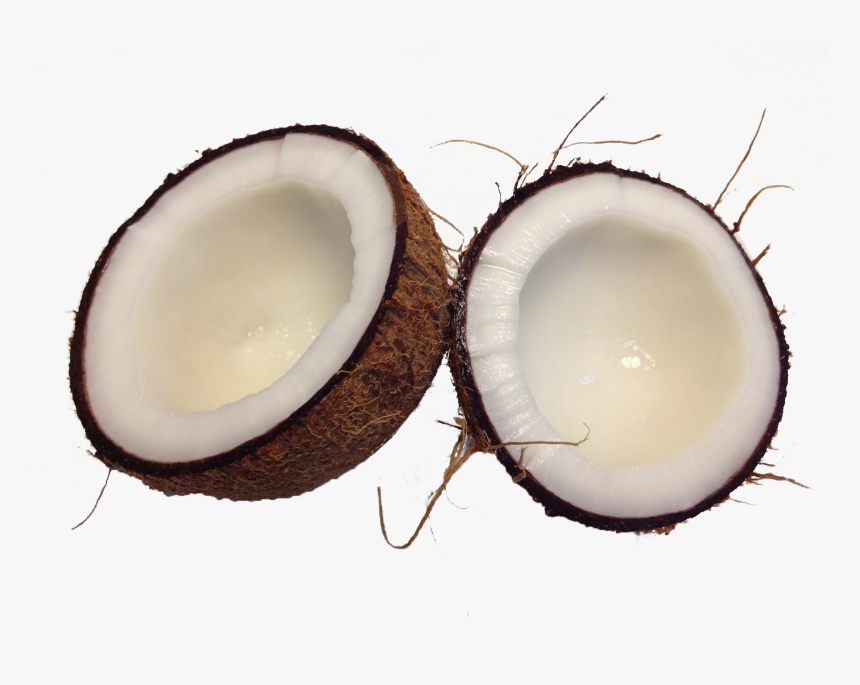 Kokosnuss Png, Transparent Png