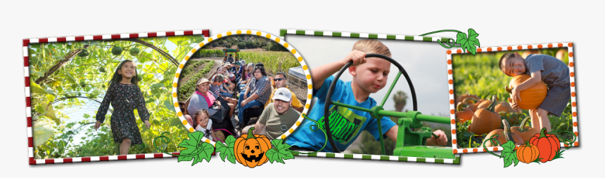 Transparent Hay Ride Clipart - Pumpkin, HD Png Download