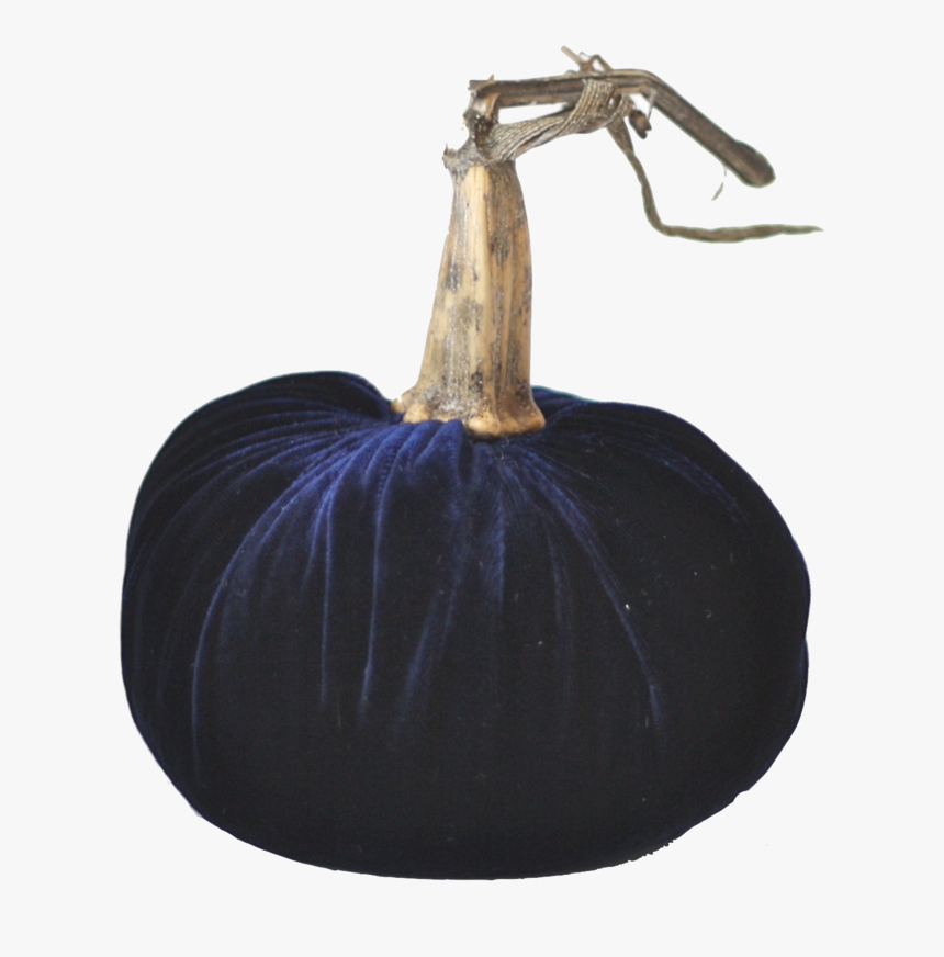 Midnight Blue Velvet Pumpkin With Real Stem - Velvet Pumpkin Png Transparent Background, Png Download
