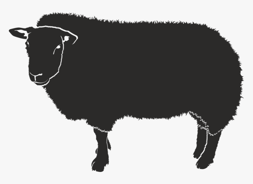 Sheep, Silhouette, Black, Isolated Form, Animal, Shadow - Sheep Shadow, HD Png Download