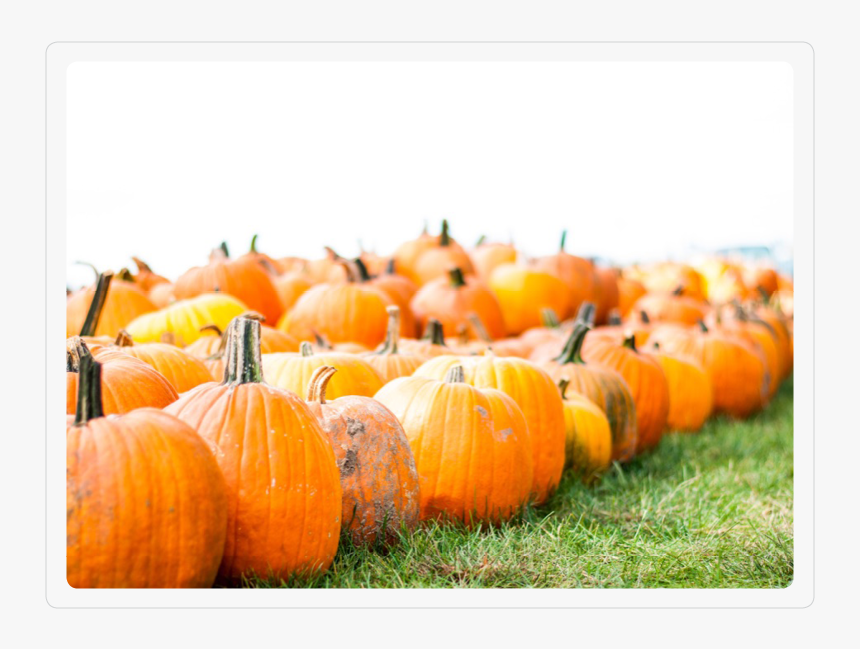 Haystack - Pumpkin, HD Png Download