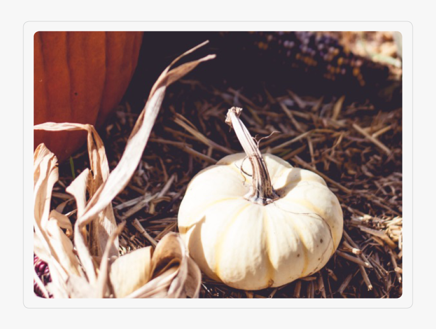 Fancy Pumpkin - Pumpkin, HD Png Download