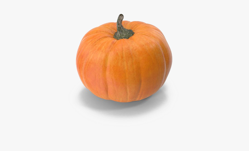 Pumpkin Patch Background Png - Pumpkin Png Transparent, Png Download