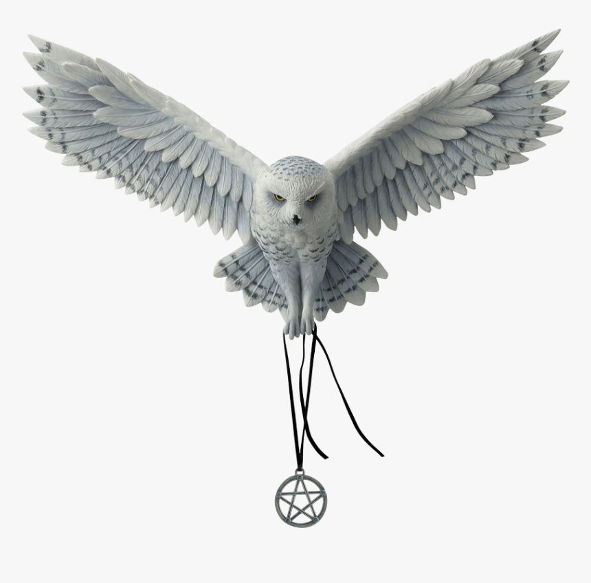 Awaken Your Magic, HD Png Download