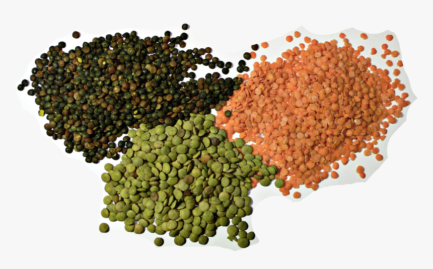 3 Types Of Lentil - All Dal, HD Png Download