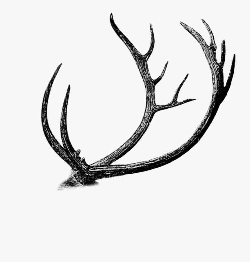 Free Png Antler Cutout By Mauvevrexel - Dibujos De Caza Mayor, Transparent Png