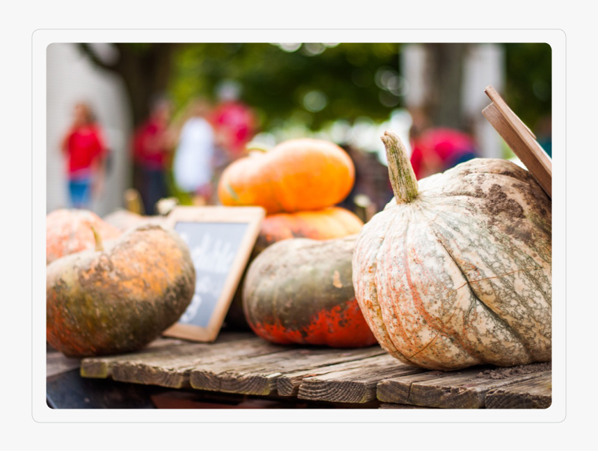 Pumpkins 3 - Pumpkin, HD Png Download