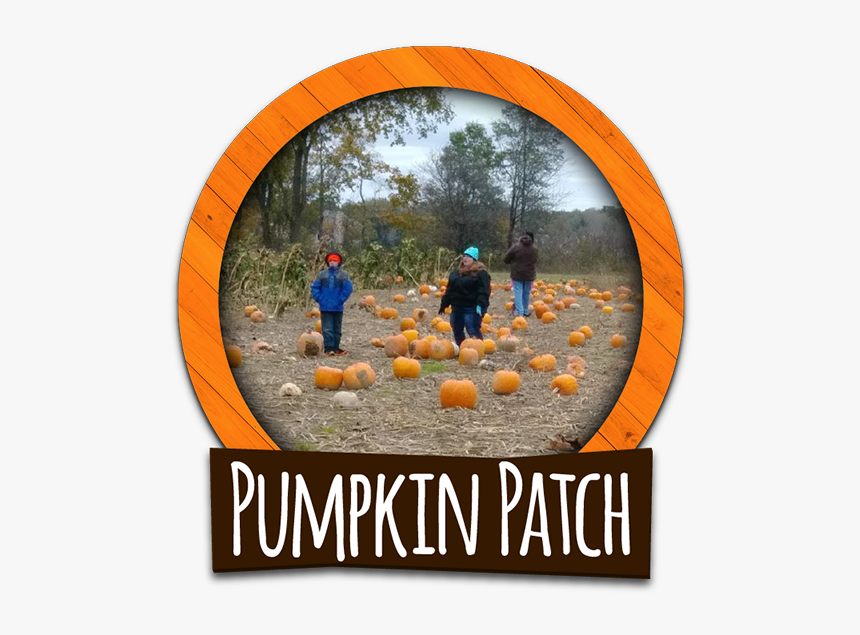 The U-pick Pumpkin Patch At Corn Fun Corn Maze Adventure - Poster, HD Png Download
