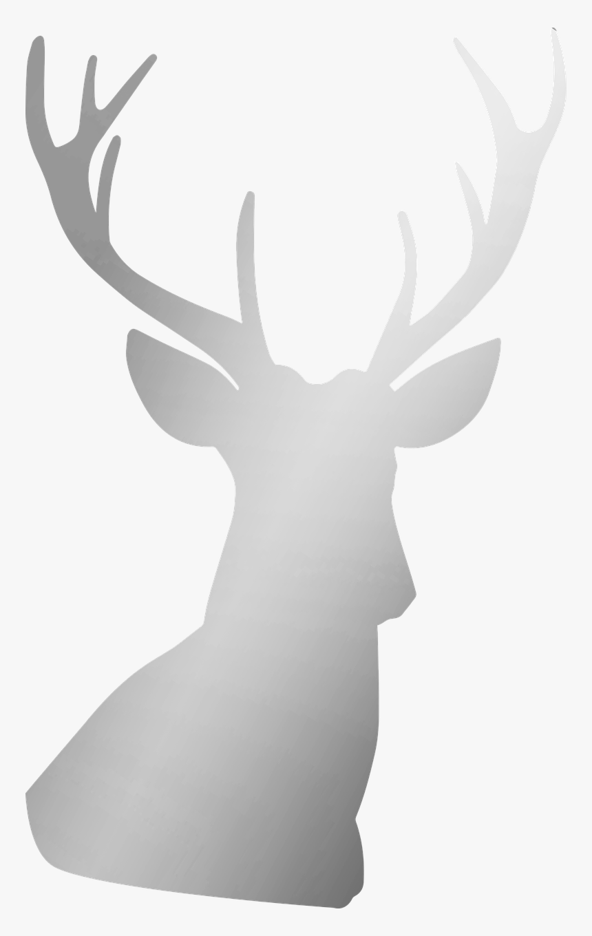 Silver Deer Antler Free Picture - Deer, HD Png Download