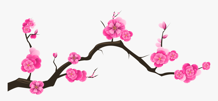 Kunstbilder, Clipart, Bunte Zeichnungen, Geld, Molde, - Transparent Background Cherry Blossom Branch Clipart, HD Png Download