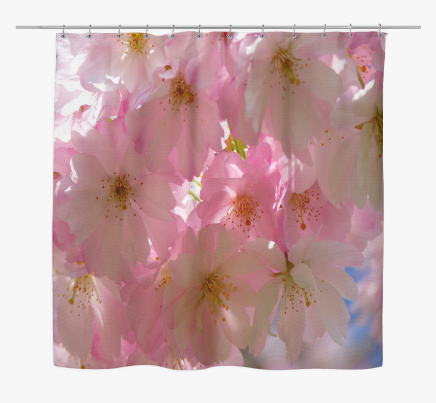 Transparent Cherry Blossom Tree Png - Cherry Blossom, Png Download