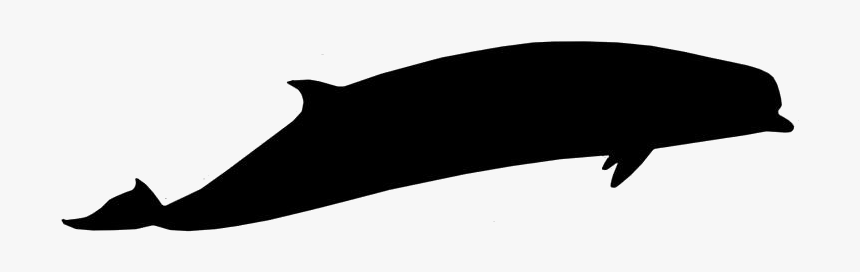 Cute Whale Png With Transparent Background - Whale, Png Download