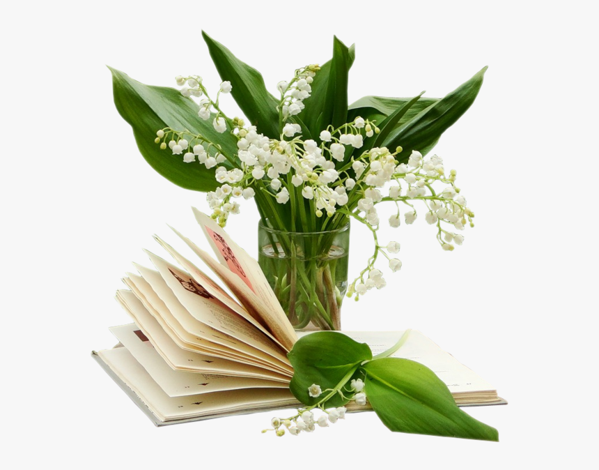 Transparent Lily Of The Valley Png - Tubes Png 1er Mai, Png Download