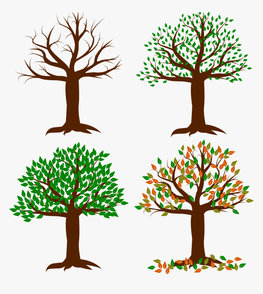 Seasons Of The Year In Sa, HD Png Download