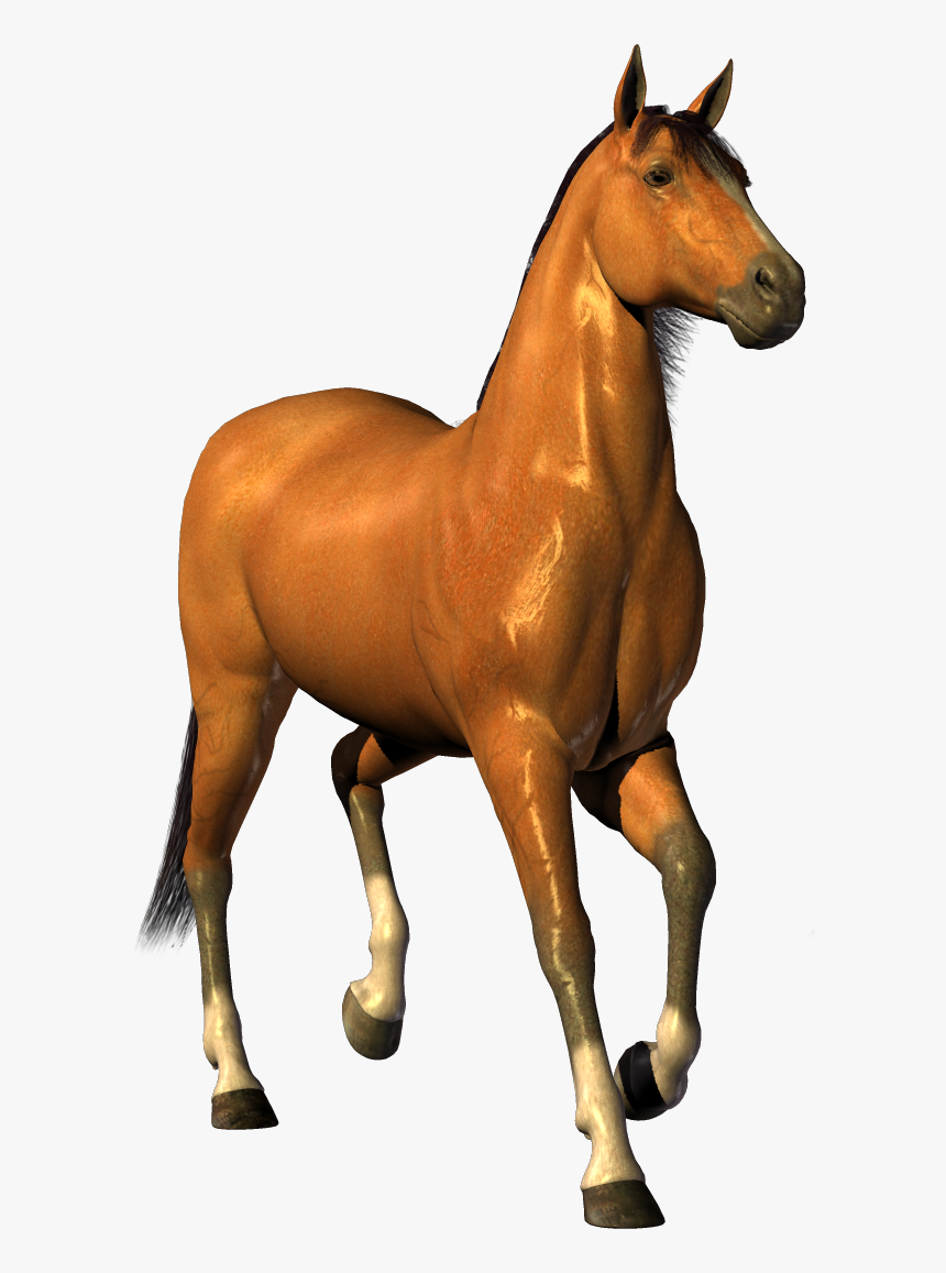 Transparent Horse Clipart - Horse Png, Png Download
