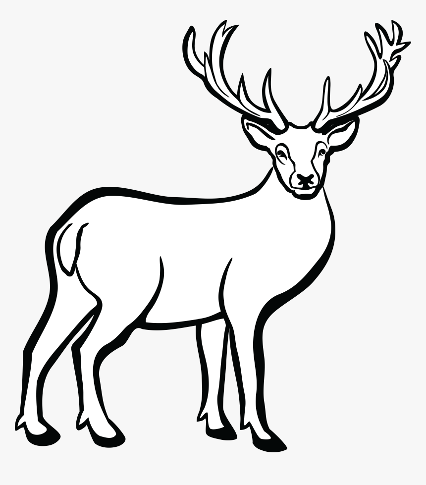 Free Clipart Of A Buck Deer - Deer Black And White, HD Png Download