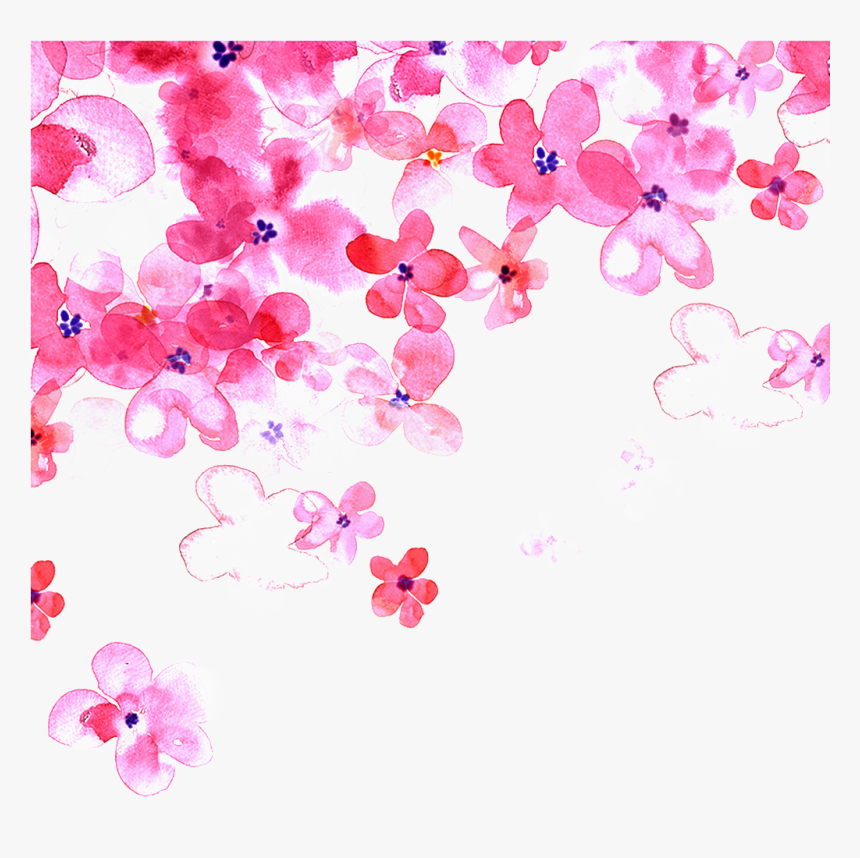 Hand Painted Pink Cherry Blossom Transparent Decorative, HD Png Download