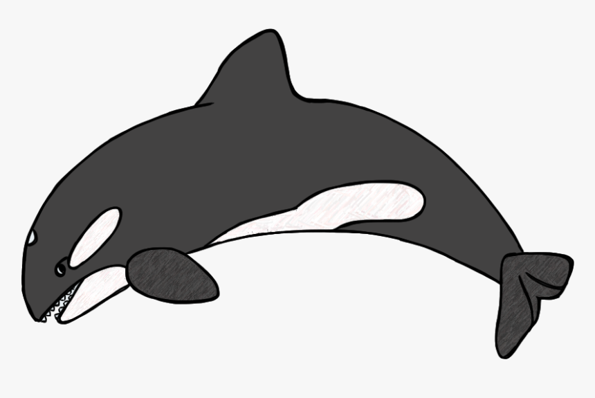 Killer Whale Clipart Black And White Dromgcb Top - Orca Clipart, HD Png Download