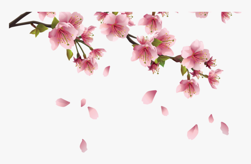 Beautiful Pink Spring Branch With Falling Petals Png - Transparent Sakura Flower Png, Png Download