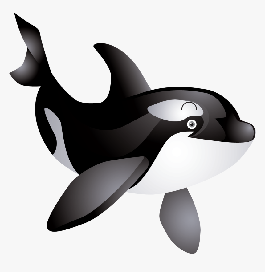 Eyes Clipart Whale - Free Killer Whale Clip Art, HD Png Download