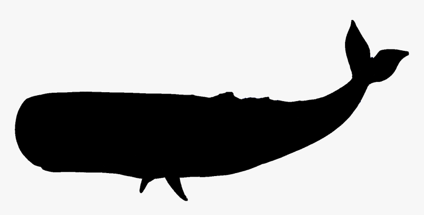 Sperm Whale Clipart Black And White - Whale Silhouette Transparent Background, HD Png Download