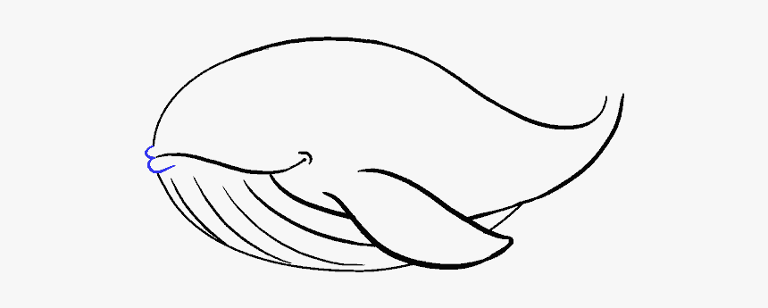 Clip Art How To Draw A - Whale Drawing Png, Transparent Png