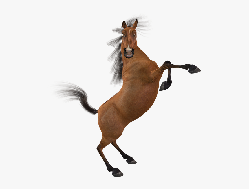 Funny Horse Png, Transparent Png
