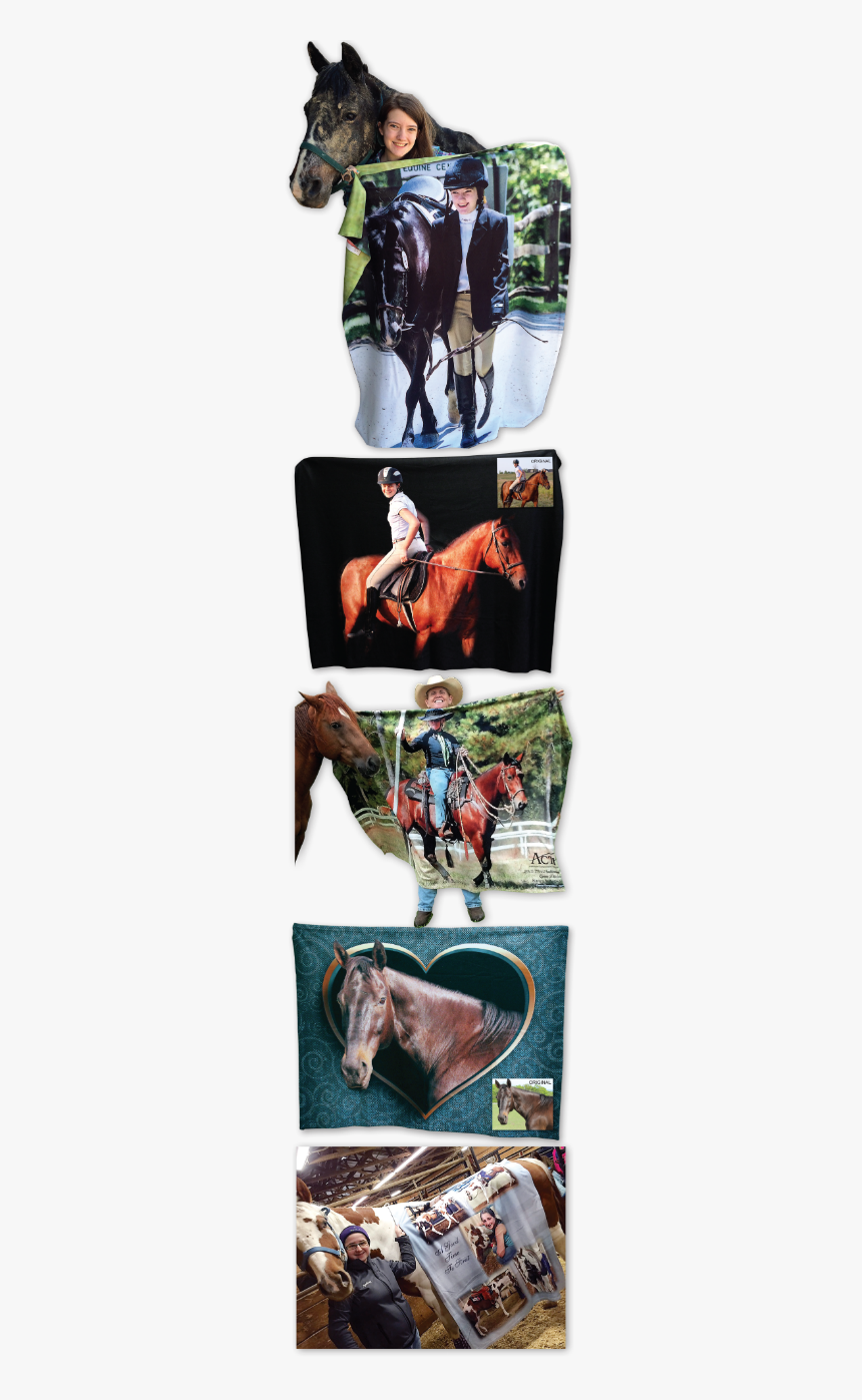 Stallion, HD Png Download