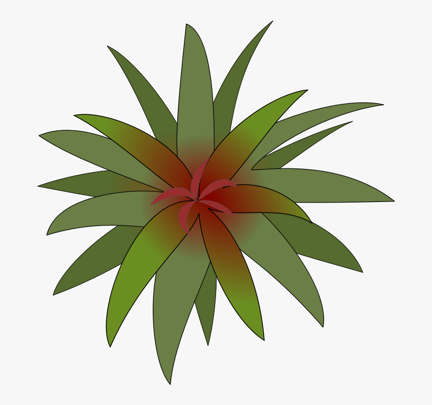 Plant Png Great Interior - Bromelia, Transparent Png