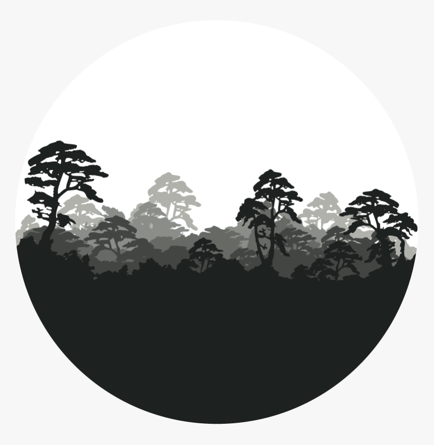 Forest Png - Circular Logo - Greenpeace Stand For Forests Logo, Transparent Png