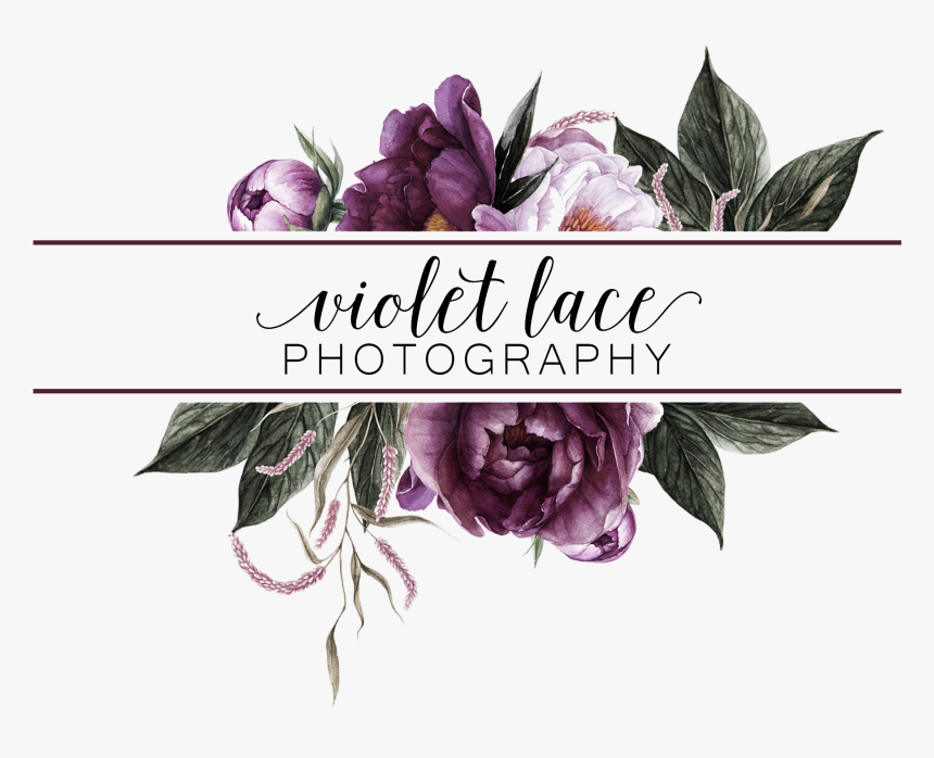 Gilliflower, HD Png Download