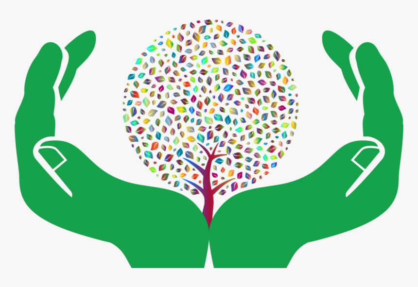 Human Behavior,organ,area - Open Hands Clip Art, HD Png Download