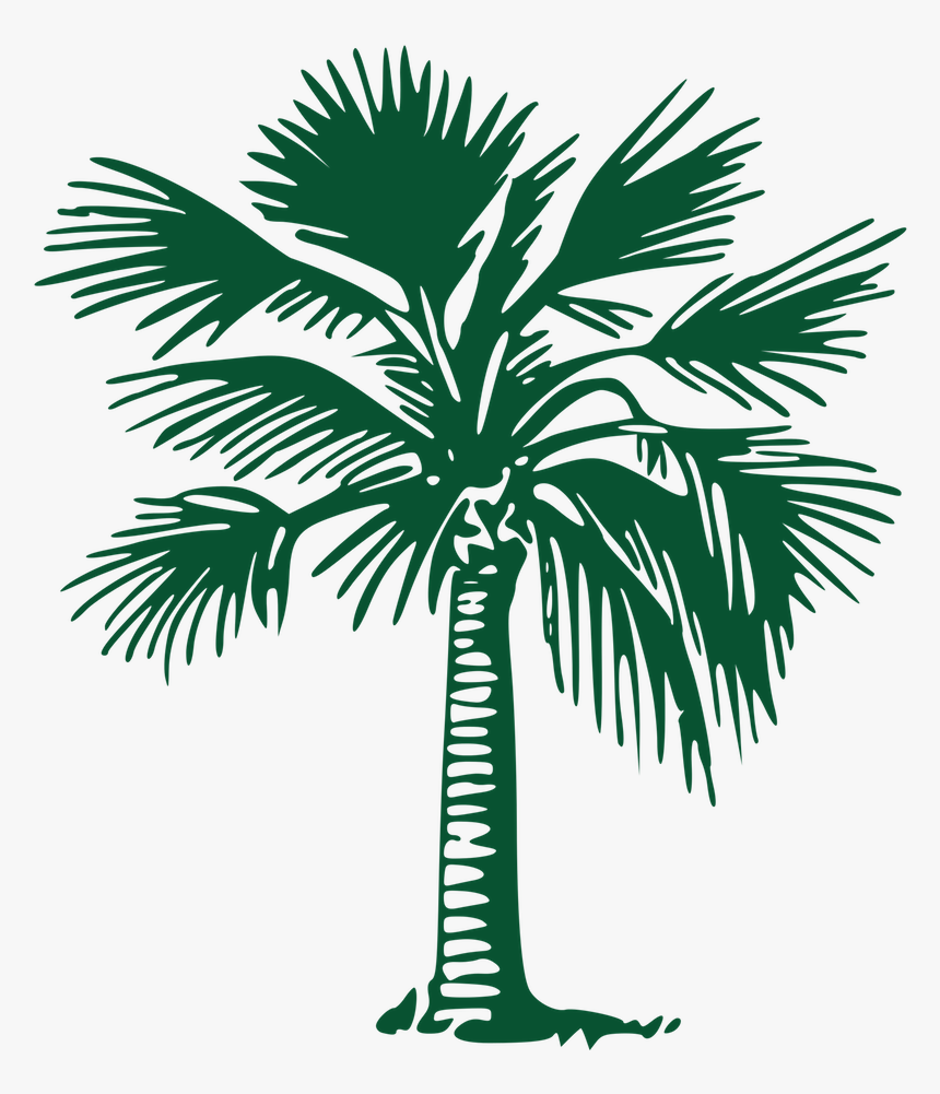 Picture - Palm Trees, HD Png Download