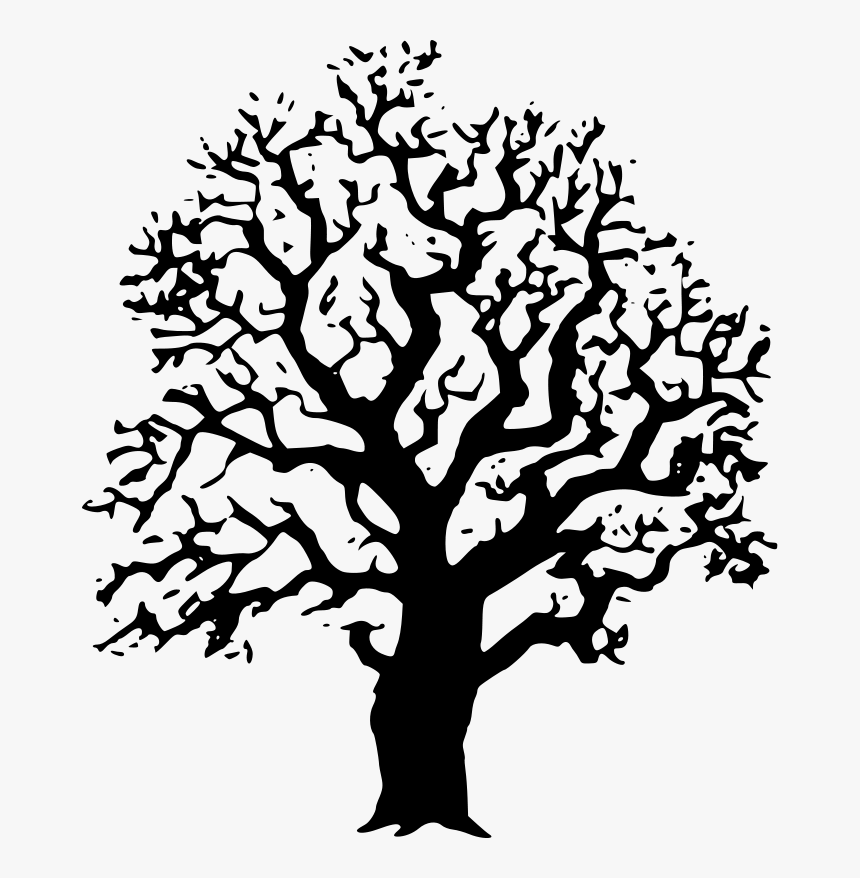 Png Black And White, Transparent Png