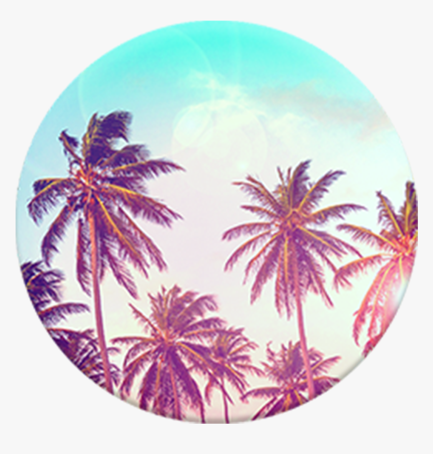 Palm Tree Popsocket, HD Png Download
