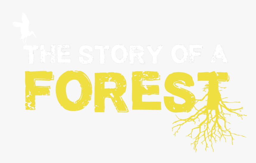 The Story Of A Forest Logo Web - Poster, HD Png Download