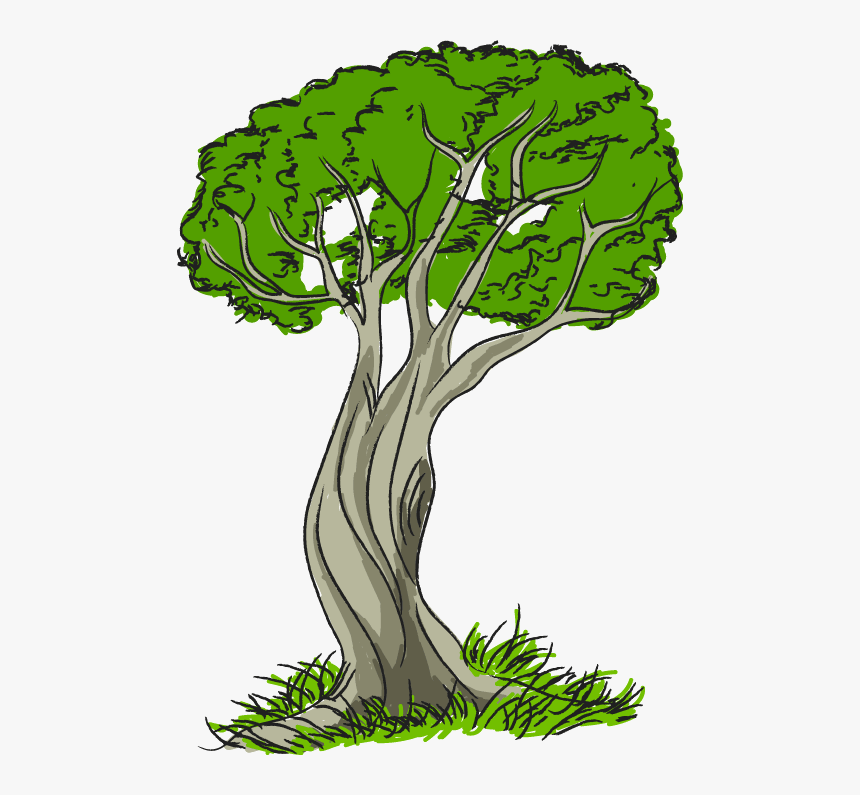 Nature Clipart Dark Forest Free - Clip Art Nature, HD Png Download