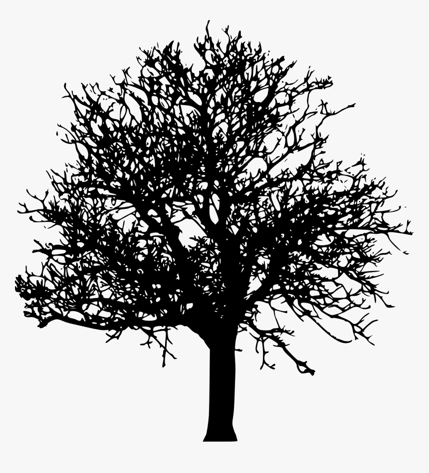 Tree Silhouette No Background, HD Png Download