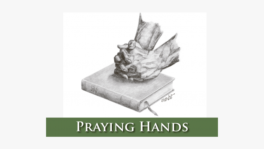 Floral Design, HD Png Download