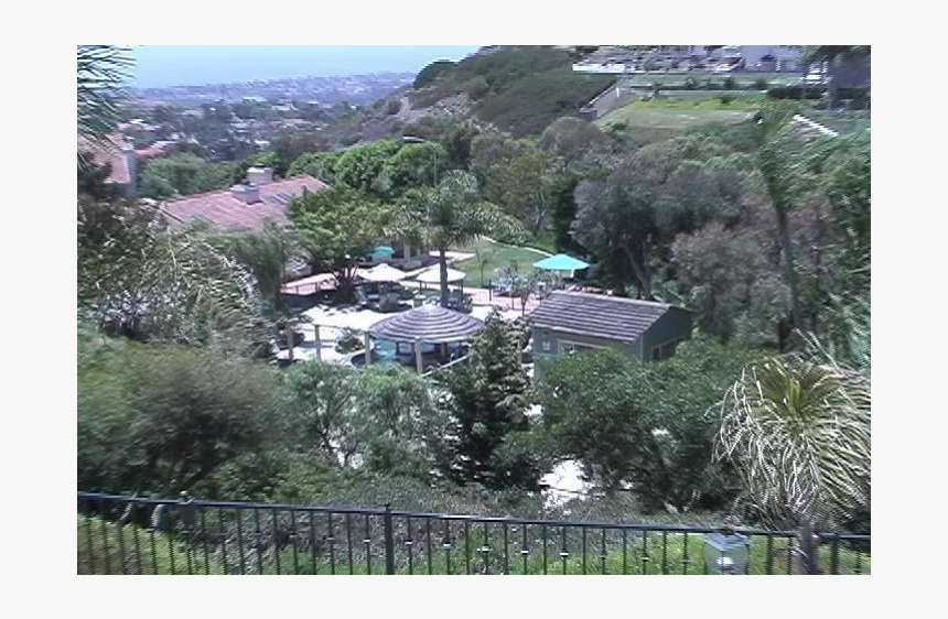 2 Acre Resort Home With Ocean View, Pool, Waterfall, - Tree, HD Png Download