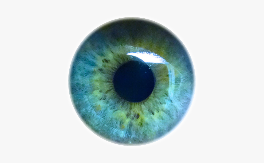Iris Eyes Eye Light Pupil Human Clipart Eyes Light Blue Png