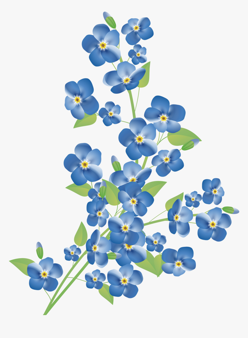 Scorpion Grasses Stock Photography Royalty-free Clip - Png Forget Me Not, Transparent Png