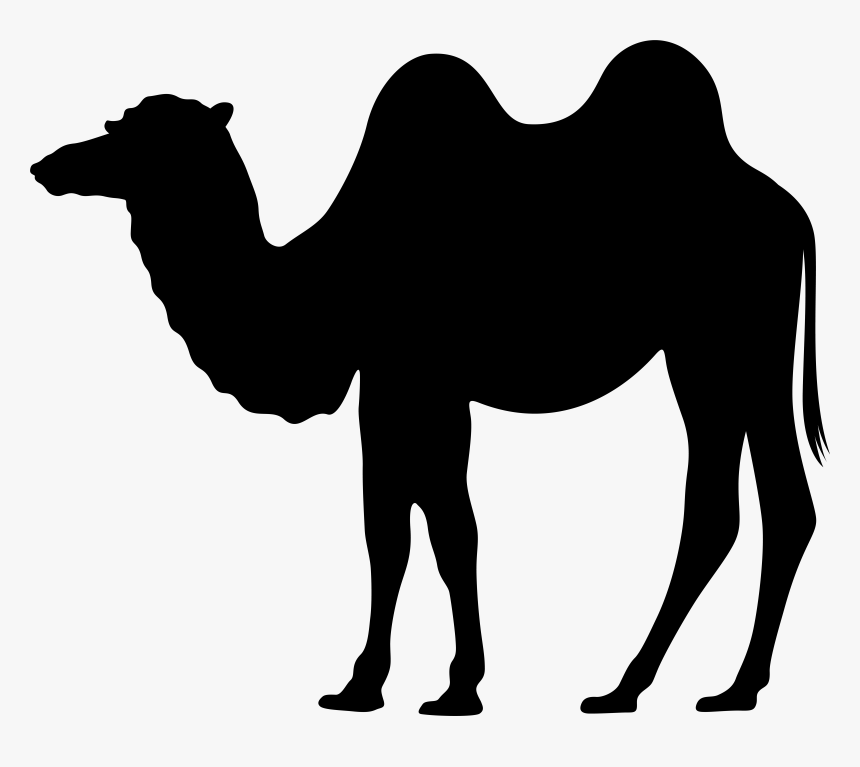 Dromedary Silhouette Clip Art, HD Png Download
