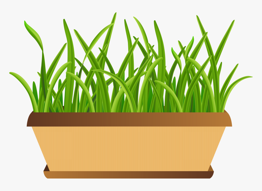Flowerpot With Grass Transparent Png Clip Art Imageu200b - Flower Pot Png Clipart, Png Download