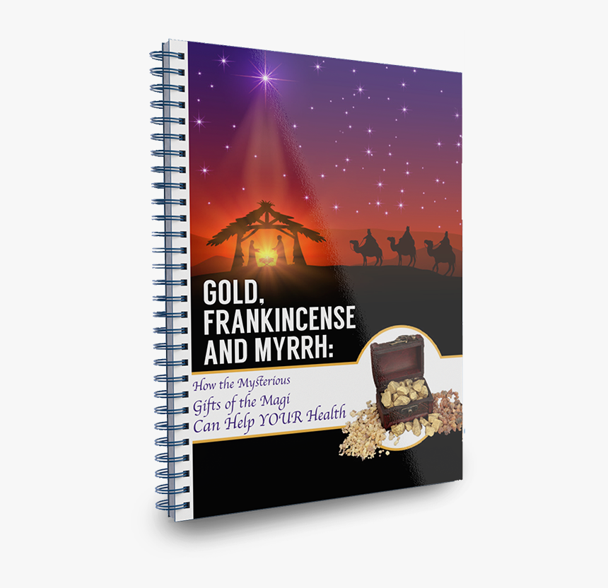 Flyer - Poster, HD Png Download