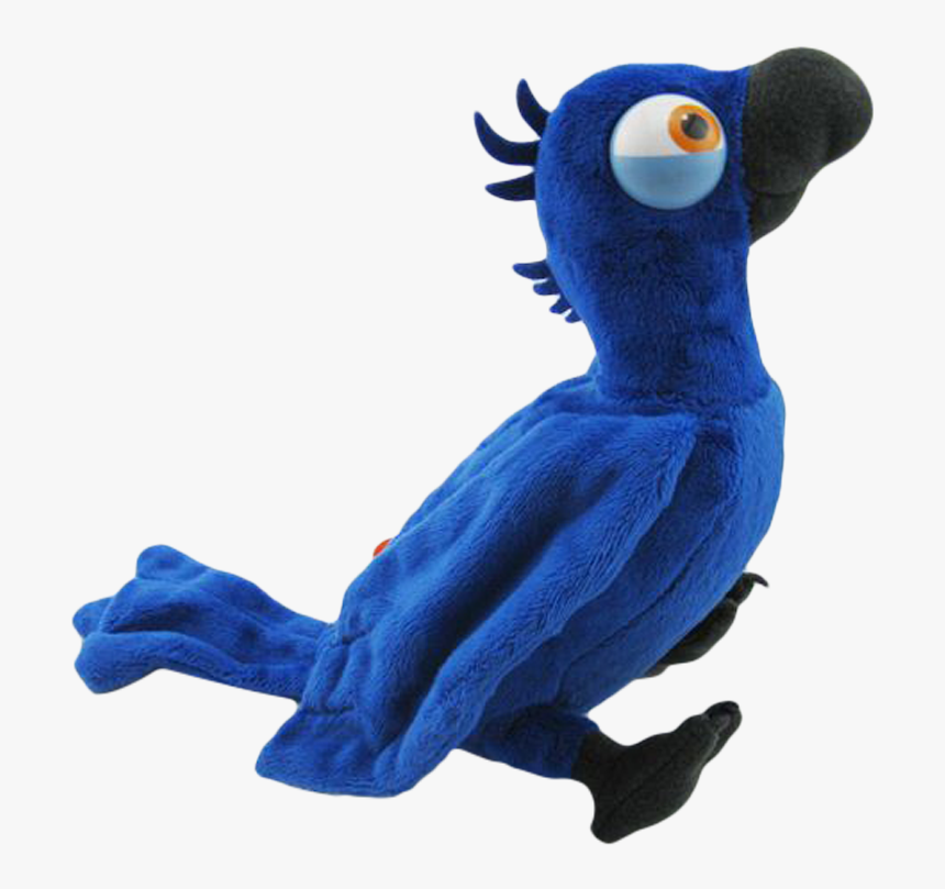 Macaw, HD Png Download