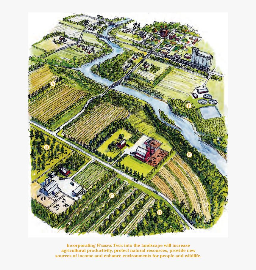 Aerial Photography, HD Png Download