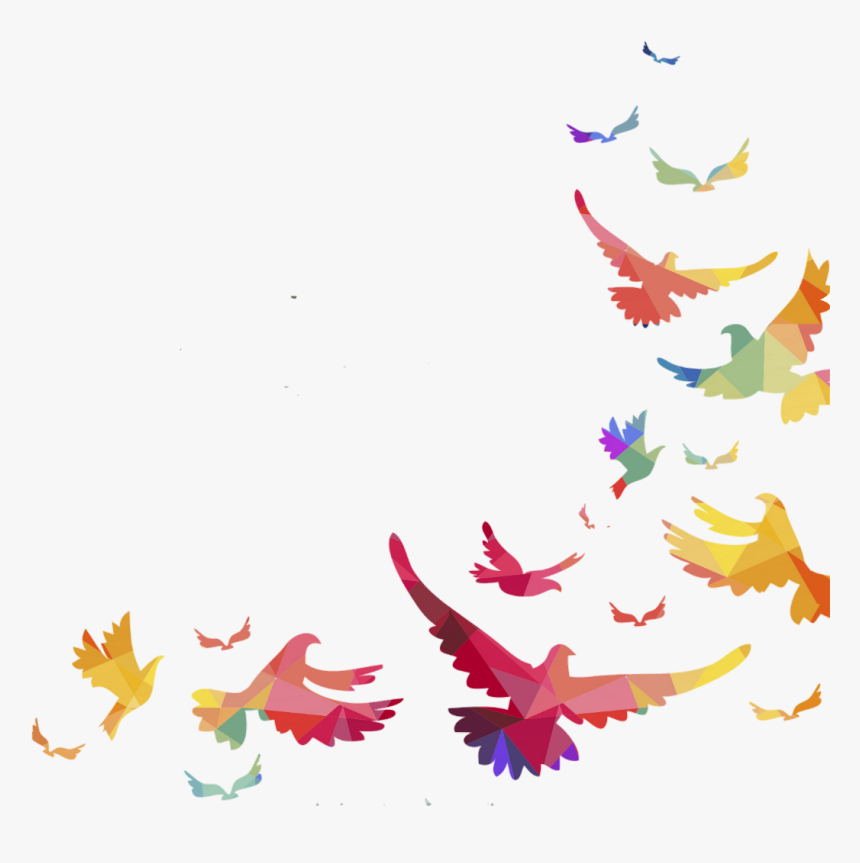Portable Parrot Lovebird Vector Graphics Bird Network - Bird Border, HD Png Download
