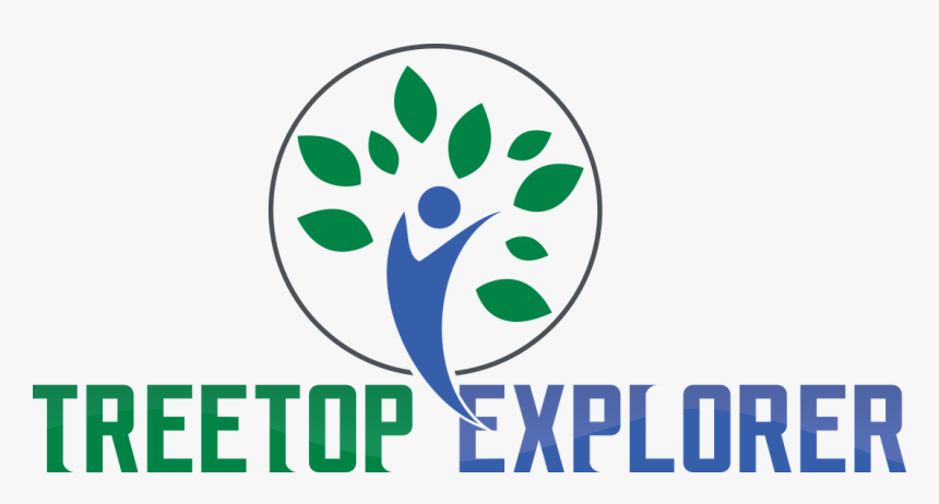 Picture - Graphic Design, HD Png Download