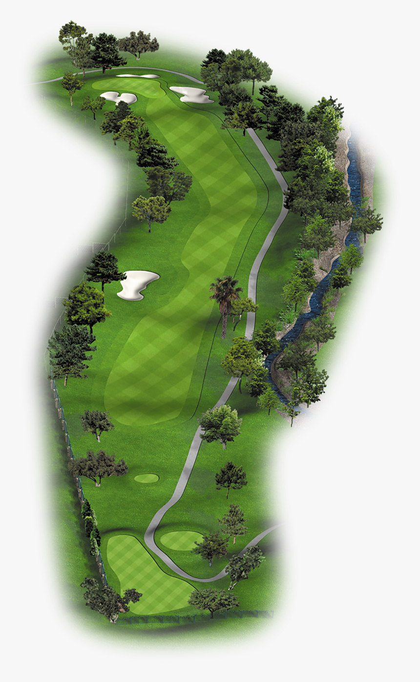 Tree, HD Png Download